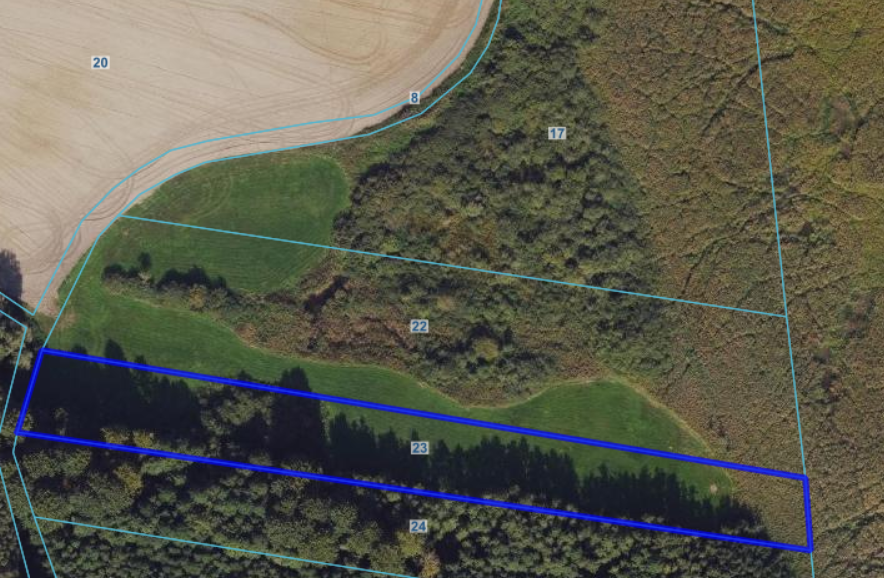 Zrzut ekranu 2026-02-11 155932