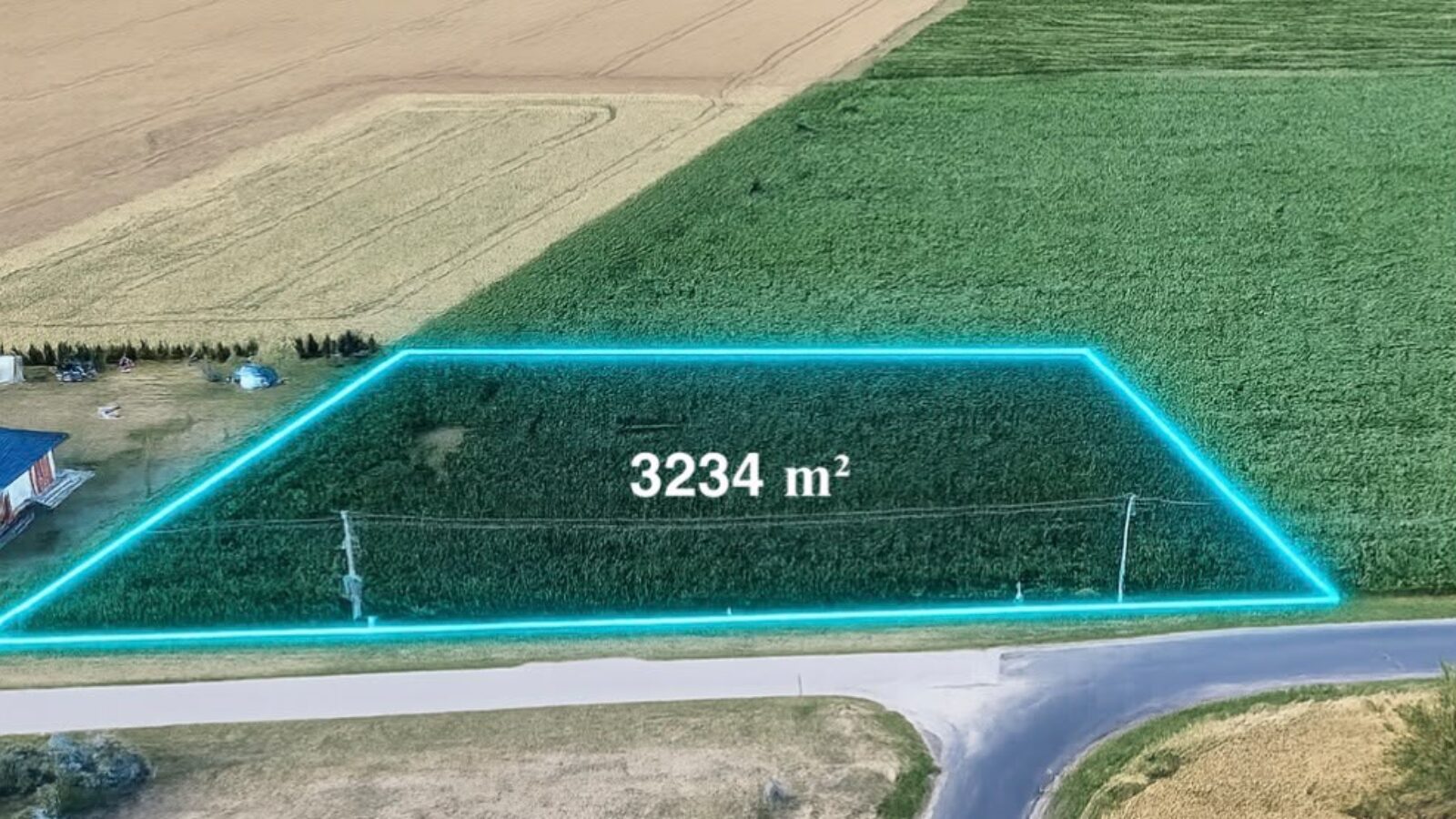 1000045253
